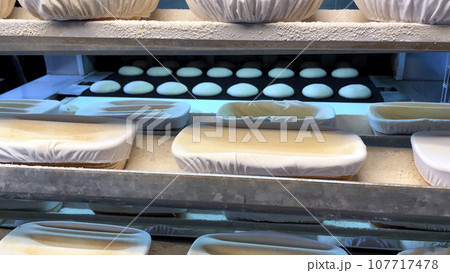 Big bakery bread industrial production line. Fresh bread dough entering the Bread Baking Furnace. Conveyor Belt of Industrial Bread Baking Tunnel Big bakery bread industrial production line. Fresh bread dough entering the Bread Baking Furnace. Conveyor Belt of Industrial Bread Baking Tunnel 107717478