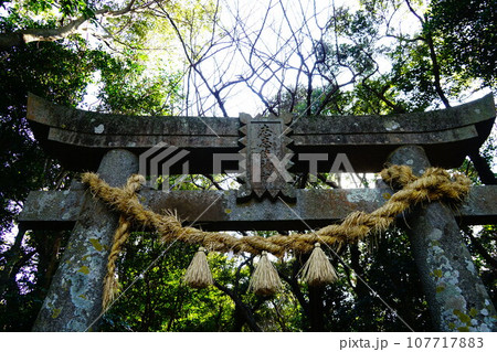 長崎県　平戸島　志々伎山　志々伎神社　鳥居 107717883