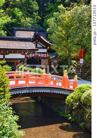 京都 上賀茂神社の美しい境内と摂社 片山御子神社(片岡社) 107718018