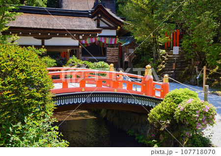 京都 上賀茂神社の美しい境内と摂社 片山御子神社(片岡社) 京都 上賀茂神社の美しい境内と摂社 片山御子神社(片岡社) 107718070