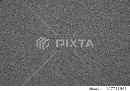 リシン吹付仕上げ外装の塗装13 107718961