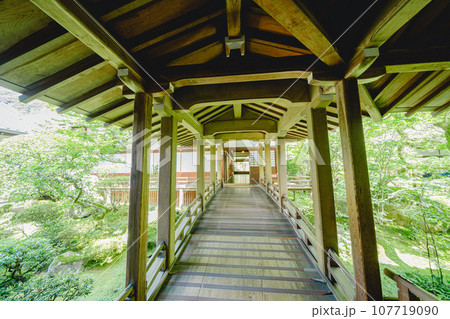 京都の庭園の風景 107719090