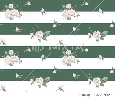 White roses seamless pattern striped. White roses arrangement. collection garden flowers, leaves. watercolor hand painting illustration on isolate white background. For wedding invitations anniversary 107719421