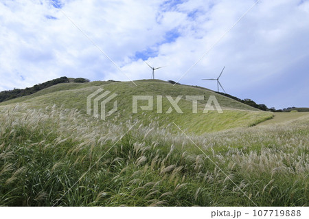 秋の空とすすき 秋の空とすすき 107719888