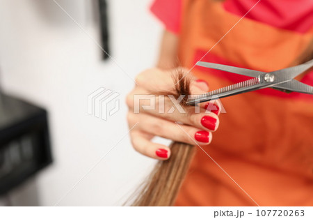 Hand of aster hairdresser holds split ends and scissors 107720263