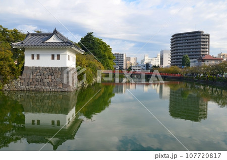 小田原城 隅櫓と学橋 107720817