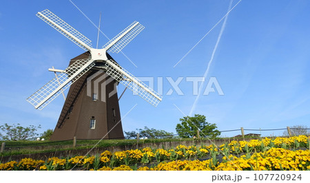 大阪 鶴見緑地 風車の丘 大阪 鶴見緑地 風車の丘 107720924