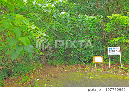 石垣島の野底岳登山口風景 石垣島の野底岳登山口風景 107720942