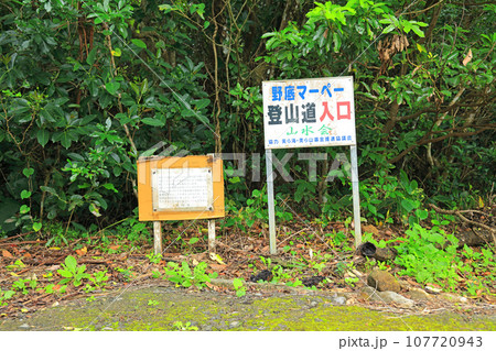 石垣島の野底岳登山口風景 石垣島の野底岳登山口風景 107720943