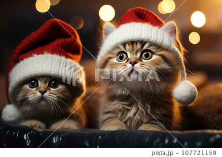 Cute Small Cat Near Christmas Tree With...のイラスト素材 [107721159] - PIXTA