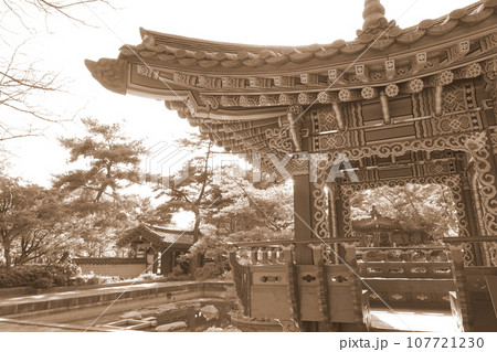 鶴見緑地 韓国庭園 鶴見緑地 韓国庭園 107721230