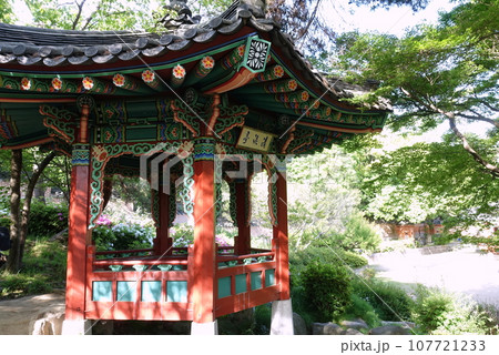 鶴見緑地 韓国庭園 鶴見緑地 韓国庭園 107721233