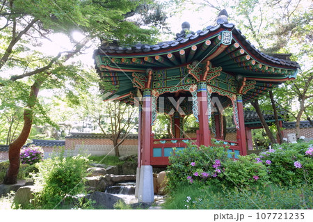 鶴見緑地 韓国庭園 鶴見緑地 韓国庭園 107721235