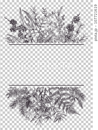 Christmas invitation with winter plants, berries and hellebore flowers. Art line style. Black. Outline, no fill. 107721619