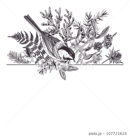 Christmas traditional card with birds and winter plants. Black. Fern, spruce, mistletoe and titmouse. Hand drawn botanical illustration. Outline, no fill. Christmas traditional card with birds and winter plants. Black. Fern, spruce, mistletoe and titmouse. Hand drawn botanical illustration. Outline, no fill. 107721628