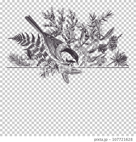 Christmas traditional card with birds and winter plants. Black. Fern, spruce, mistletoe and titmouse. Hand drawn botanical illustration. Outline, no fill. Christmas traditional card with birds and winter plants. Black. Fern, spruce, mistletoe and titmouse. Hand drawn botanical illustration. Outline, no fill. 107721628