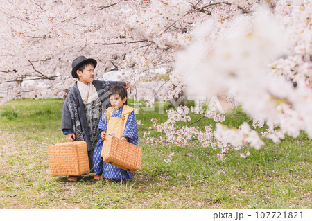 桜の下の兄弟 107721821