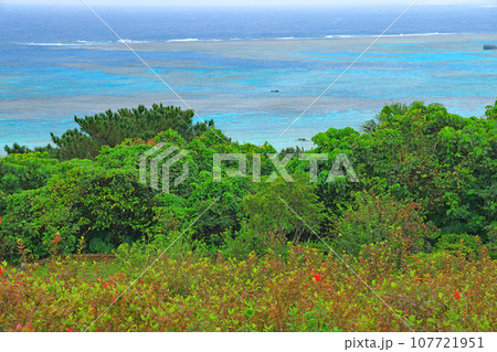 石垣島平久保の風景 石垣島平久保の風景 107721951