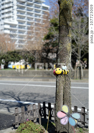 街路樹,の飾り 107723009