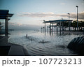 オーストラリアの早朝の海とプール 107723213