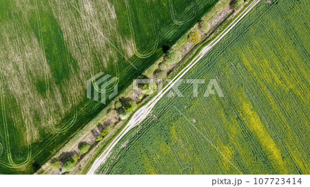 Dirt road along the abandoned melioration canal. Agricultural land, aerial view. Dirt road along the abandoned melioration canal. Agricultural land, aerial view. 107723414