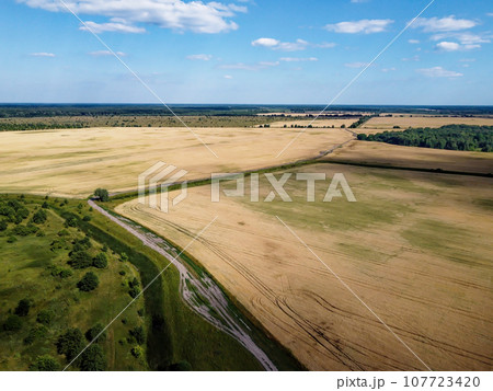 Green deciduous forest next to a farm field. Landscape from a bird's eye view. Sunny weather. 107723420