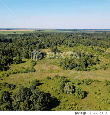 Small green grove, aerial view. Trees in a young forest, landscape. Small green grove, aerial view. Trees in a young forest, landscape. 107723423