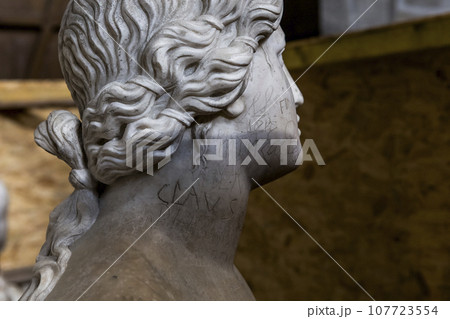 interiors and details of basilica of saint-denis,  France 107723554