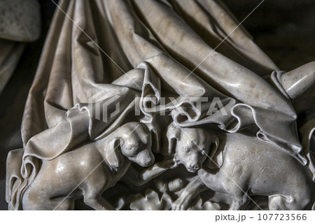 interiors and details of basilica of saint-denis, France interiors and details of basilica of saint-denis, France 107723566