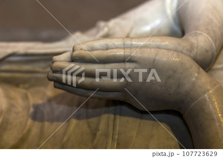 interiors and details of basilica of saint-denis,  France 107723629