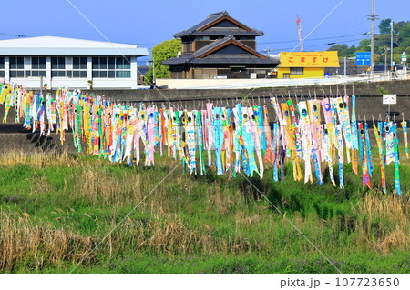 河川敷を泳ぐ小学生の手作り鯉のぼり（端午の節句） 107723650