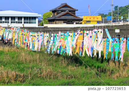 河川敷を泳ぐ小学生の手作り鯉のぼり(端午の節句) 河川敷を泳ぐ小学生の手作り鯉のぼり(端午の節句) 107723653