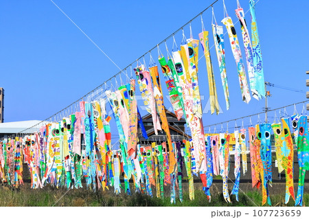 河川敷を泳ぐ小学生の手作り鯉のぼり(端午の節句) 河川敷を泳ぐ小学生の手作り鯉のぼり(端午の節句) 107723659