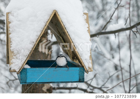 Snow covered wooden bird feeder Snow covered wooden bird feeder 107723899
