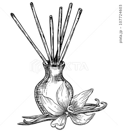Diffuser with Vanilla flowers and Sticks. Hand drawn vector illustration on white isolated background. Linear drawing of refresher for fragrance and aroma therapy. Sketch of essential perfume for home 107724603