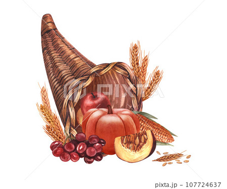 Watercolor cornucopia (horn of plenty) with pumpkin and vegetable. Hand-drawn illustration isolated on white background. Perfect for menu cafe, template food, cooking, packing food, card thanksgiving 107724637