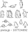 penguin, bird, chick, portrait, image, fauna, various poses, wildlife, white, black, vector 107724892