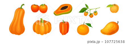 Fresh Orange Organic Fruit and Garden Cultivar Vector Set 107725638