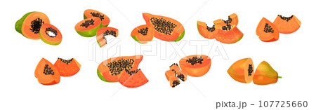 Papaya Fruit with Seeds and Orange Flesh Vector Set 107725660