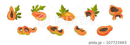 Papaya Fruit with Seeds and Orange Flesh Vector Set 107725665