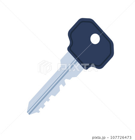 House key. Realistic modern door key. Home security. Vector illustration. 107726473