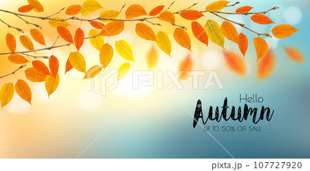 Autumn nature background with branches with colorful leaves and sun. Vector illustration. Autumn nature background with branches with colorful leaves and sun. Vector illustration. 107727920