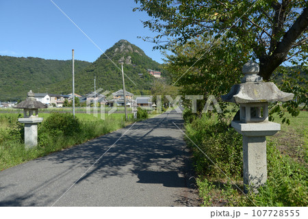 太郎坊阿賀神社　参道と赤神山　滋賀県東近江市小脇町 107728555