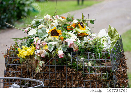 garbage container in a cemetery garbage container in a cemetery 107728763