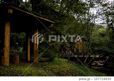 森の中の廃屋と東屋 森の中の廃屋と東屋 107728830