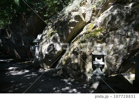 太郎坊阿賀神社 境内参道の岩肌 滋賀県東近江市小脇町 太郎坊阿賀神社 境内参道の岩肌 滋賀県東近江市小脇町 107728831
