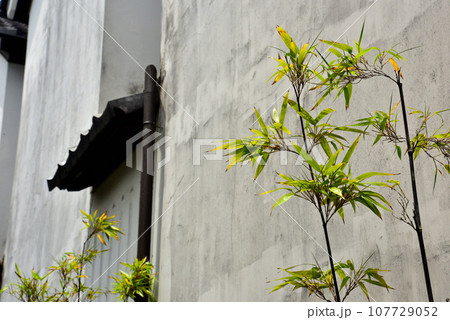 滋賀県 近江八幡のかわらミュージアム 107729052
