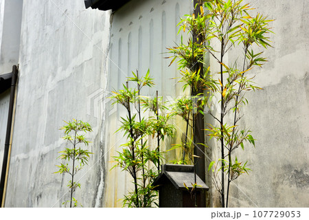 滋賀県 近江八幡のかわらミュージアム 滋賀県 近江八幡のかわらミュージアム 107729053