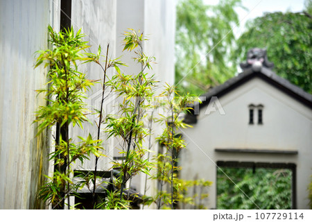 滋賀県 近江八幡のかわらミュージアム 滋賀県 近江八幡のかわらミュージアム 107729114