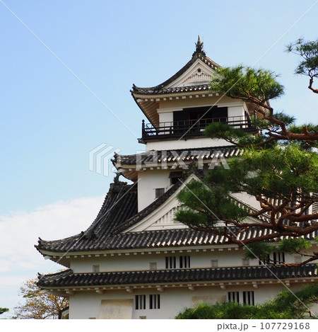 高知城 天守閣 高知城 天守閣 107729168